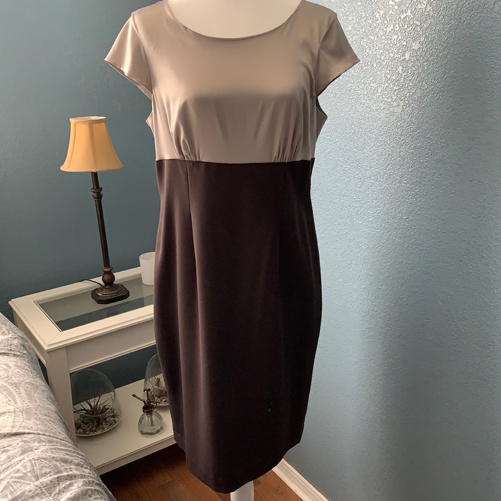 The Limited - Champagne and Chocolate Brown Dress